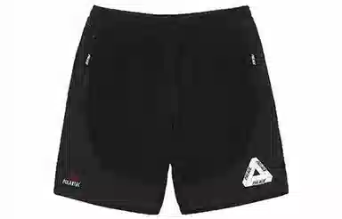 PALACE FW22 Polartec Shell Shorts