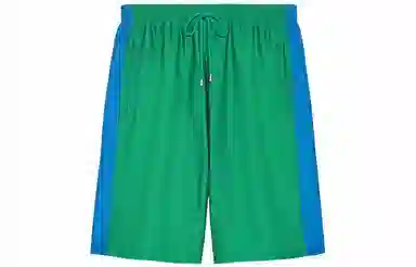 GUCCI x The North Face FW22 Shorts