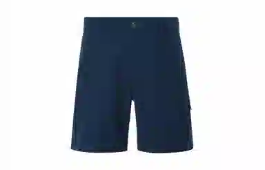 The North Face Shorts Blue