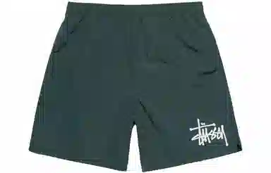 Stussy Logo Embroidered Shorts