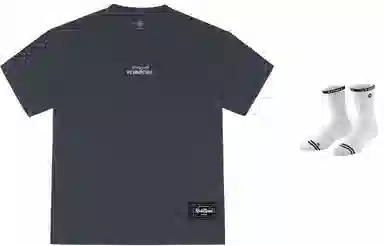 VEIDOORN T