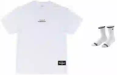 VEIDOORN T