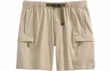 The North Face Shorts Khaki