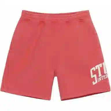 Stussy SS24 FLEECE SHORT INTERNATIONAL Logo
