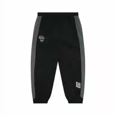 Aape