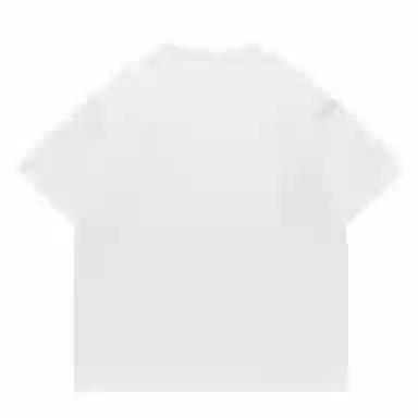 LISENPOK T