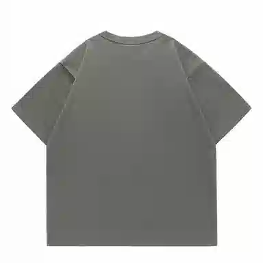 LISENPOK T