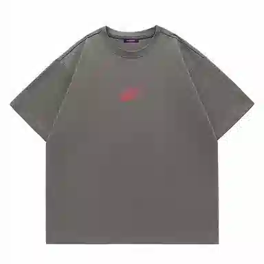 LISENPOK T