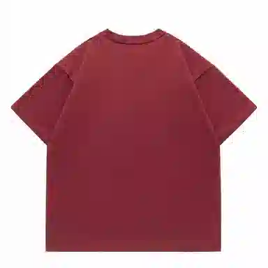 LISENPOK T