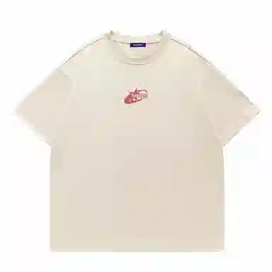 LISENPOK T