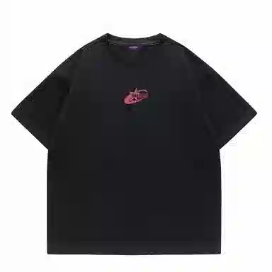 LISENPOK T