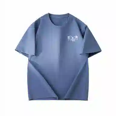 HUANQIU T