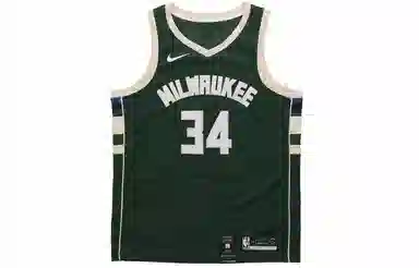 Nike NBA Giannis Antetokounmpo 34 Jersey