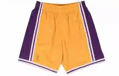 Mitchell Ness Swingman