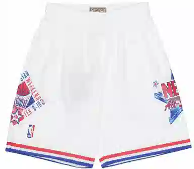 Mitchell Ness Swingman 1991