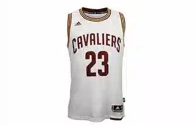 adidas NBA Jersey Cleveland James Cleveland Cavalier Swingman