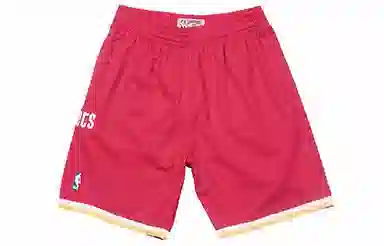 Mitchell Ness SW 93-94