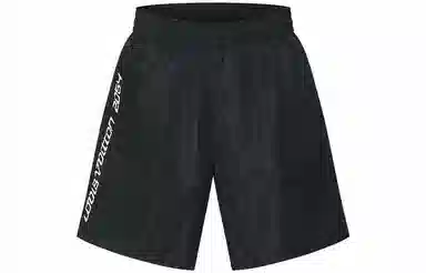 Louis Vuitton Printed Swim Shorts