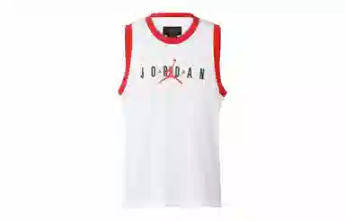 Jordan Air Jumpman Sport DNA