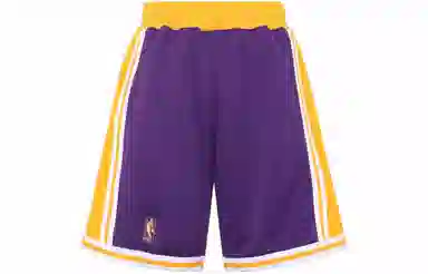 Mitchell & Ness Lakers 96-97 Purple