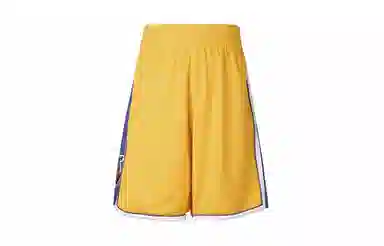 Mitchell & Ness Retro Basketball Shorts
