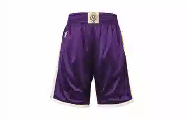 Mitchell & Ness 96-16 Los Angeles Lakers Purple