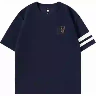 HIPANDA T