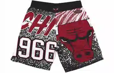 Mitchellness NBAlogo SW