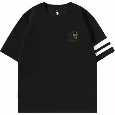 HIPANDA T