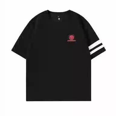 HIPANDA T