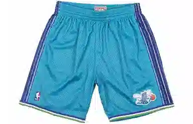 Mitchell Ness SW 99