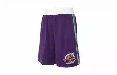 Mitchell & Ness 95 All-Star Shorts