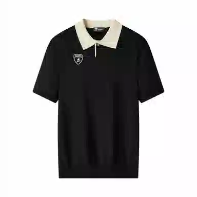 Automobili Lamborghini Polo