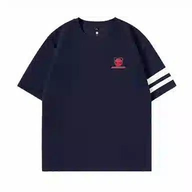 HIPANDA T