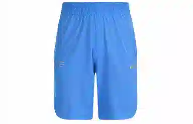 Nike Shorts Blue