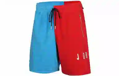 Jordan Sport DNA Shorts