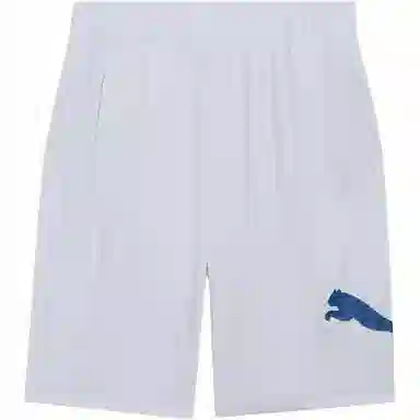PUMA Cat Training Shorts Silver Mist Cobalt