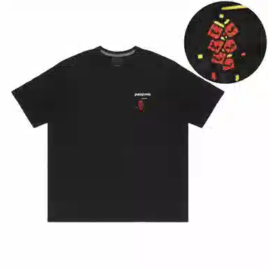 patagonia Extraordinary T BLK
