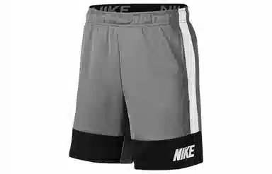 Nike Dri-Fit Shorts Grey