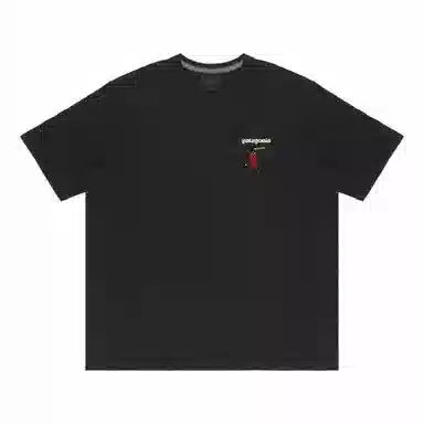 patagonia Extraordinary T BLK