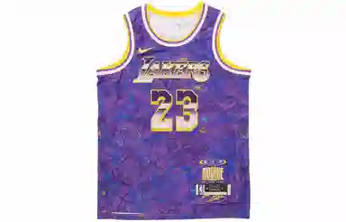 Nike NBA James 23 Jersey