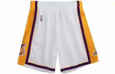Mitchell Ness SW 09-10
