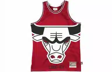 Mitchell Ness 66-67