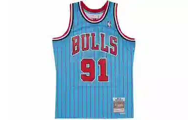 Mitchell & Ness NBA Bulls Dennis Rodman 1995