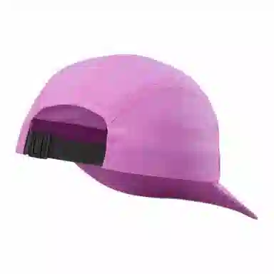 Arcteryx Logo Cap Purple