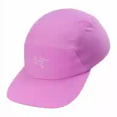 Arcteryx Logo Cap Purple