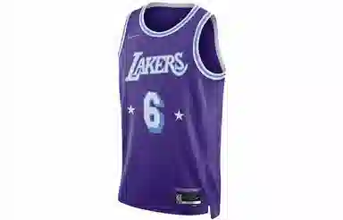 Nike NBA Los Angeles Lakers LeBron James 6 Jersey