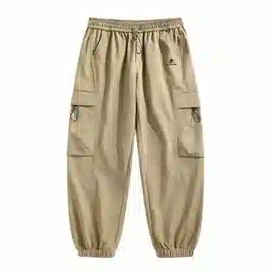 Pierre Cardin Casual Pants