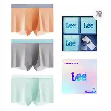 Lee 101 10A 3