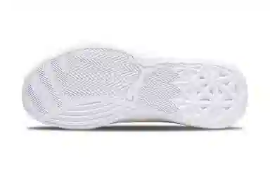 PUMA Clyde Hardwood Team